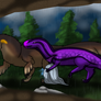 Timber and rift