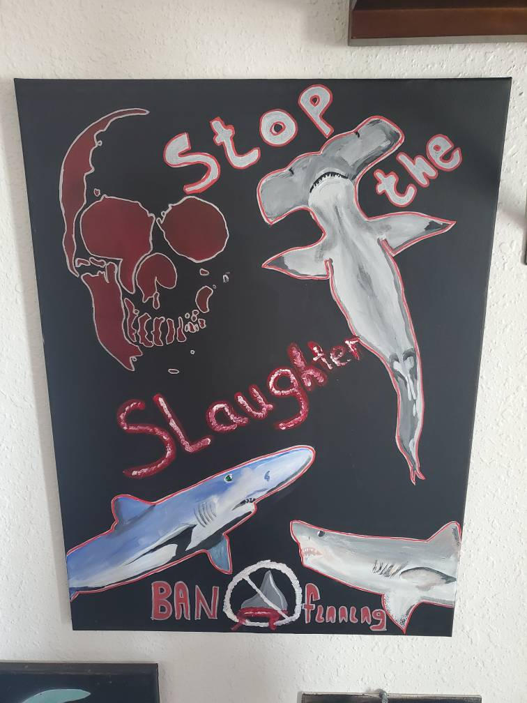 ban finning by britttron1992 on DeviantArt