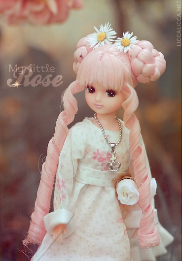 My Little Rose - 1