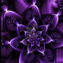 Purple gift