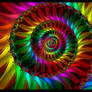 Rainbow Petals