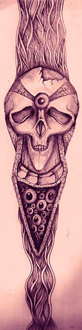 schedel-eye 2