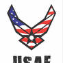 USAF Logo - Colored