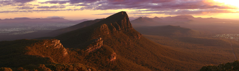 Signal Peak