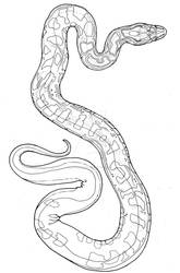 snake - linework