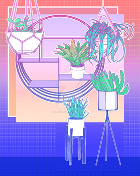 pot plants 2