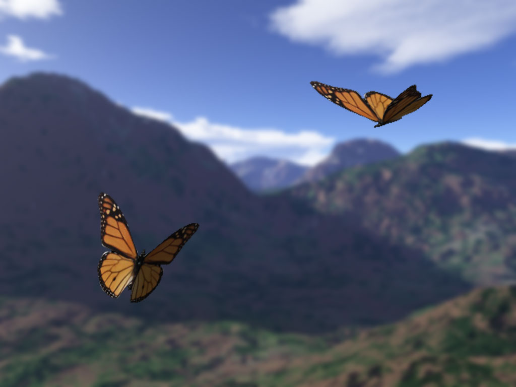 Butterfly Vista