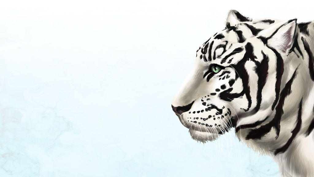 White Tiger Wallpaper by addleses on DeviantArt