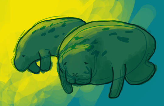 Manatees