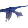 Day 5- Favorite maniraptoran: Microraptor