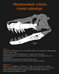 Mambawakale Skull Reconstruction by Evoblast99