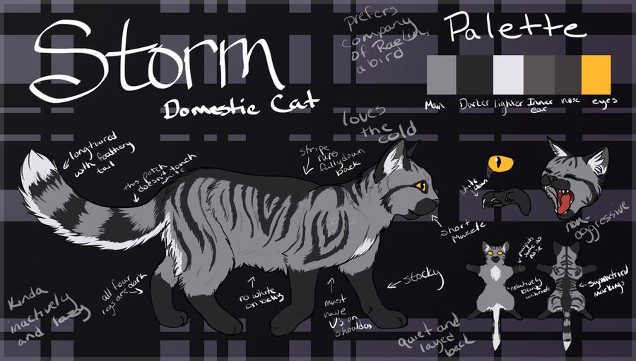 Storm Reference by Rae-elic on DeviantArt
