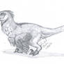 Dakotaraptor