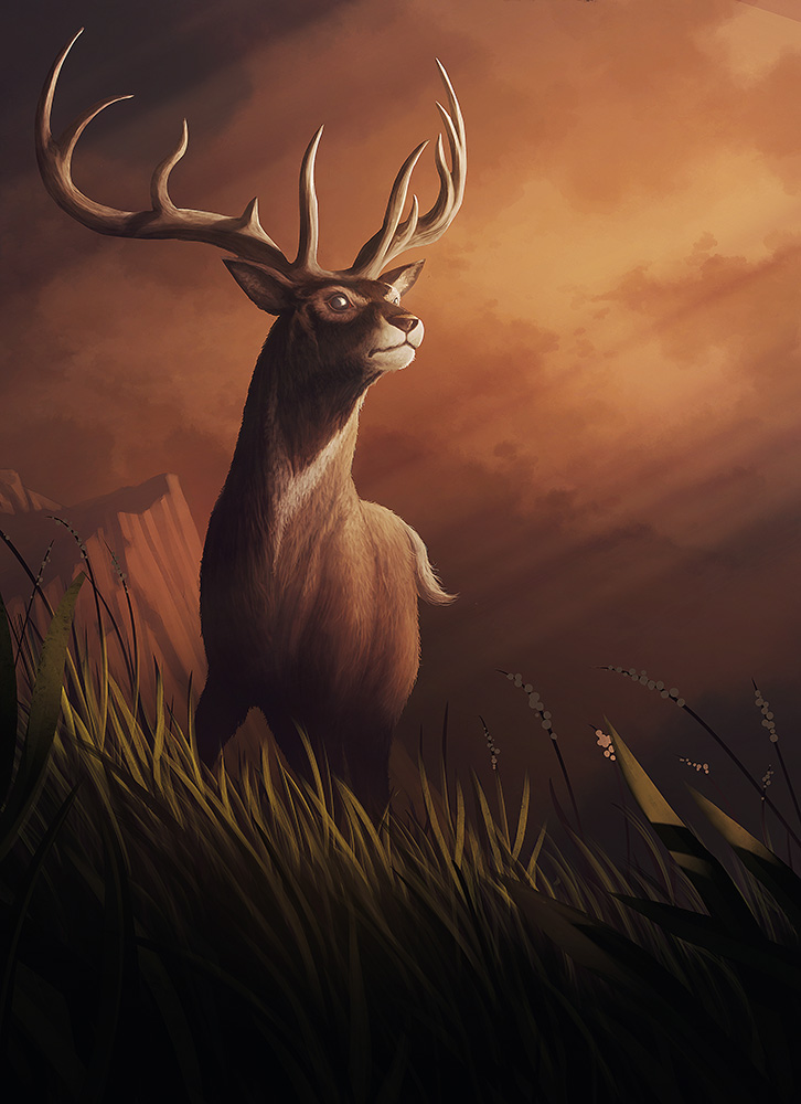 Deer