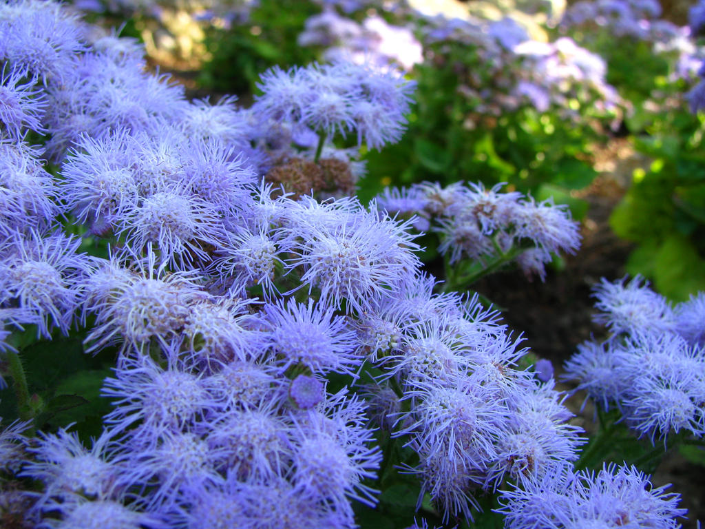 Blue riot by linkyndy on DeviantArt