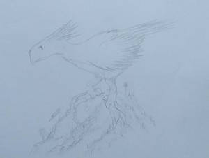 my first chocobo sketch