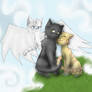 Graystripe's Love