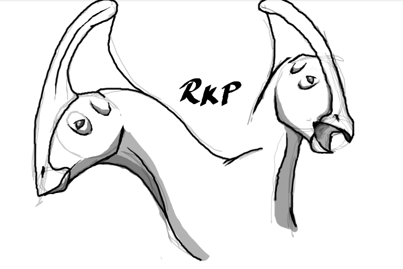 Practicing Parasaurolophus 2