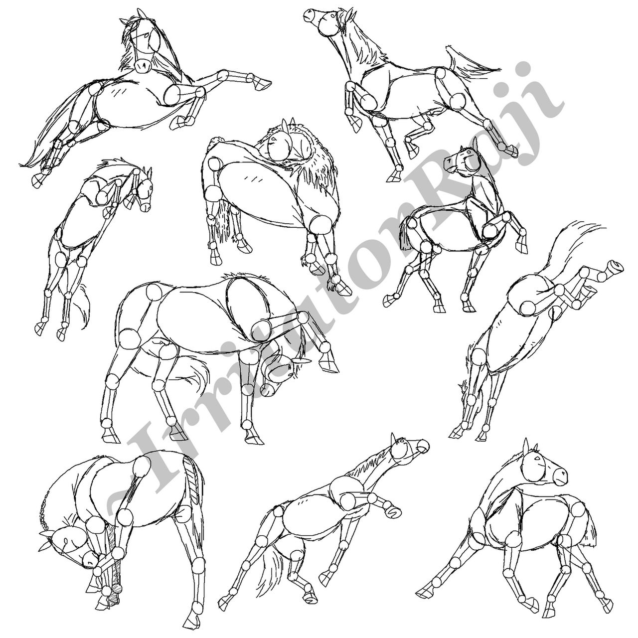 Dynamic Horse Reference Horse Pose Study by IrritatorRaji on DeviantArt