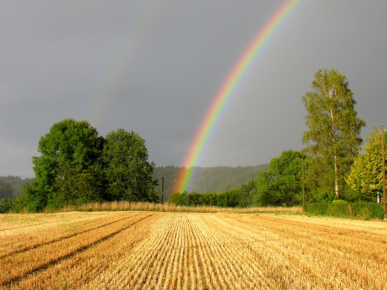 rainbow