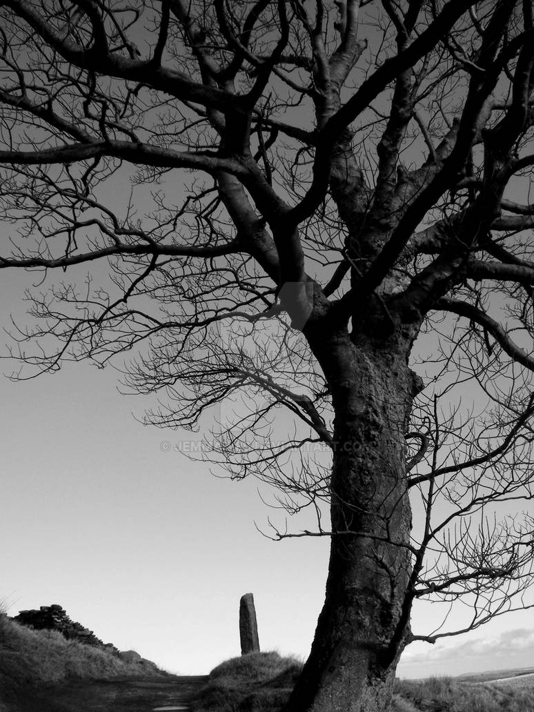 Howarth 10 by Jemmaw89 on DeviantArt