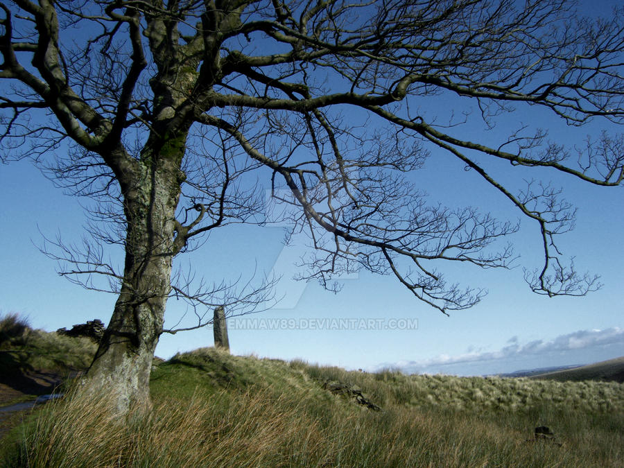 Howarth 11 by Jemmaw89 on DeviantArt
