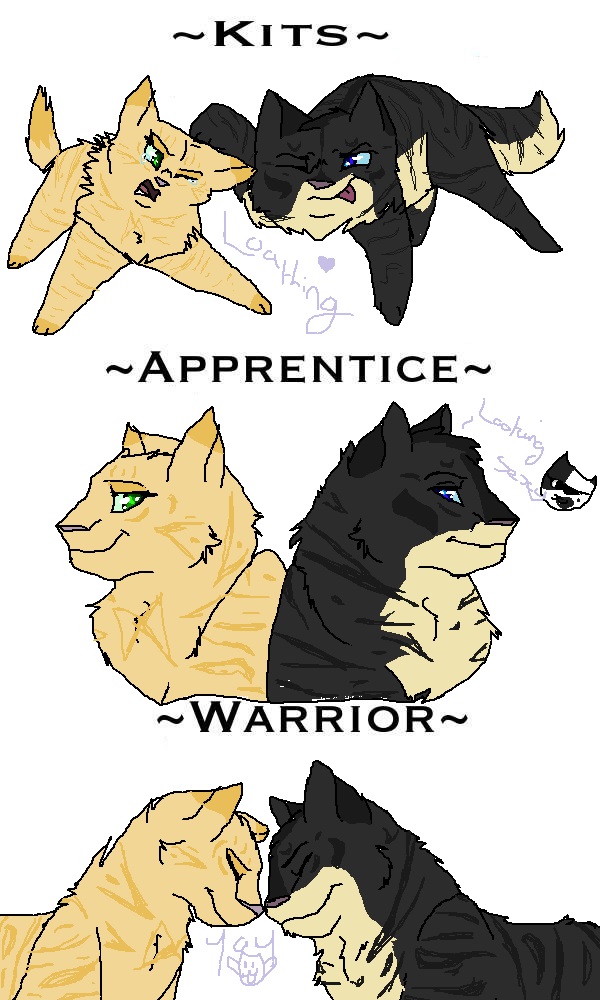 Warriors Oc Love Meme Foxxviper By Starthewolfpuppy On Deviantart Warriors Oc Love Meme Foxxviper By Starthewolfpuppy On Deviantart