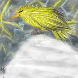 Zapdos