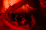Pink anamorphic flare by SavageLandPictures on DeviantArt