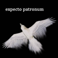 Expecto Patronum