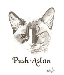 Push - Aslan