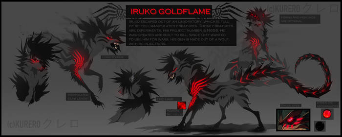 Iruko Goldflame Ref 2021 (June)