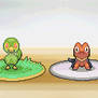 What SEHADO STARTERs do you choose ?