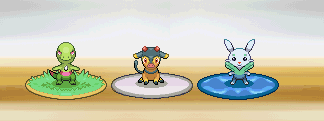 What DHIOMME STARTERs do you choose ?