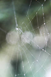 Web1