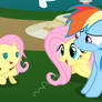 Flutter Dash -- Time With the Newborn ||REQUEST||