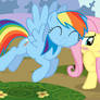 Flutter Dash -- Incoming Nuzzle! ||REQUEST||