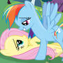 Flutter Dash -- The Romantic Stare