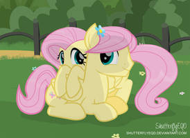 Flutter Time