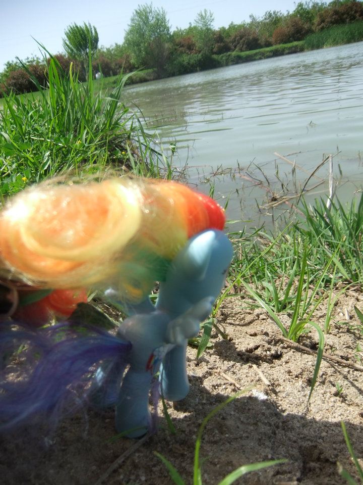 Rainbow dash heading to the lake