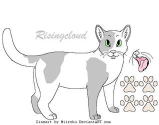 Risingcloud ref sheet