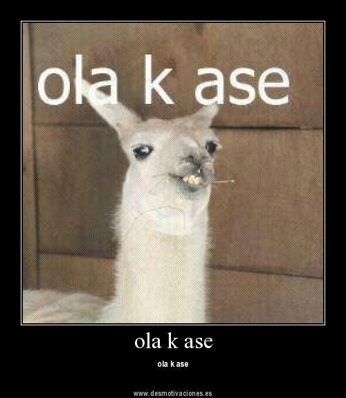 OLA K ASE