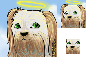 Icon: Shih Tzu LLAMA