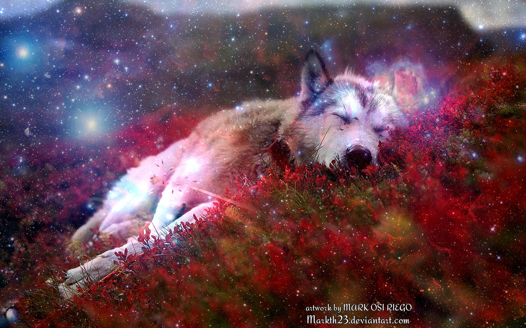 Galaxy-Wolf Wallpaper by Markth23 on DeviantArt