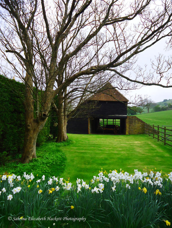 Country Life