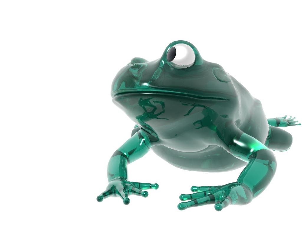 Glass Frogg