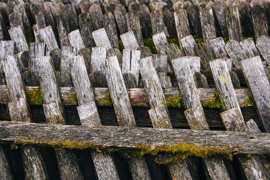 Mossy Fence I