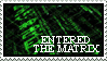 Entered The Matrix by 6v4MP1r36