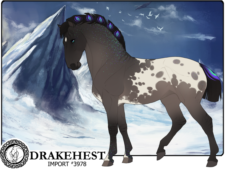 Drakehest Import 3978