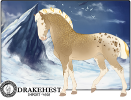 Drakehest Import 4698